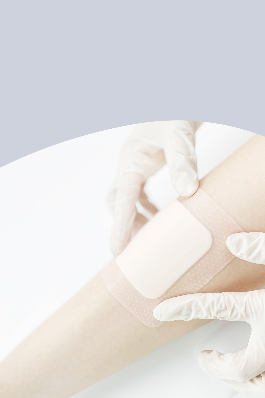 ��������VI-��Ʒ��ֵ������!