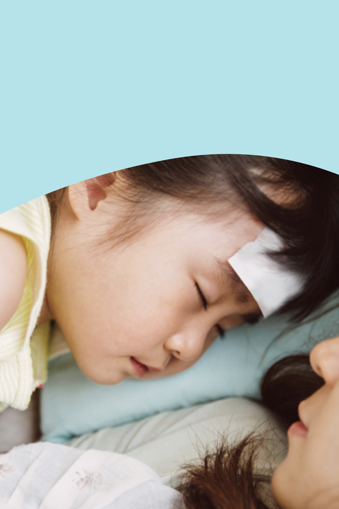 ��������VI-��Ʒ��ֵ������!