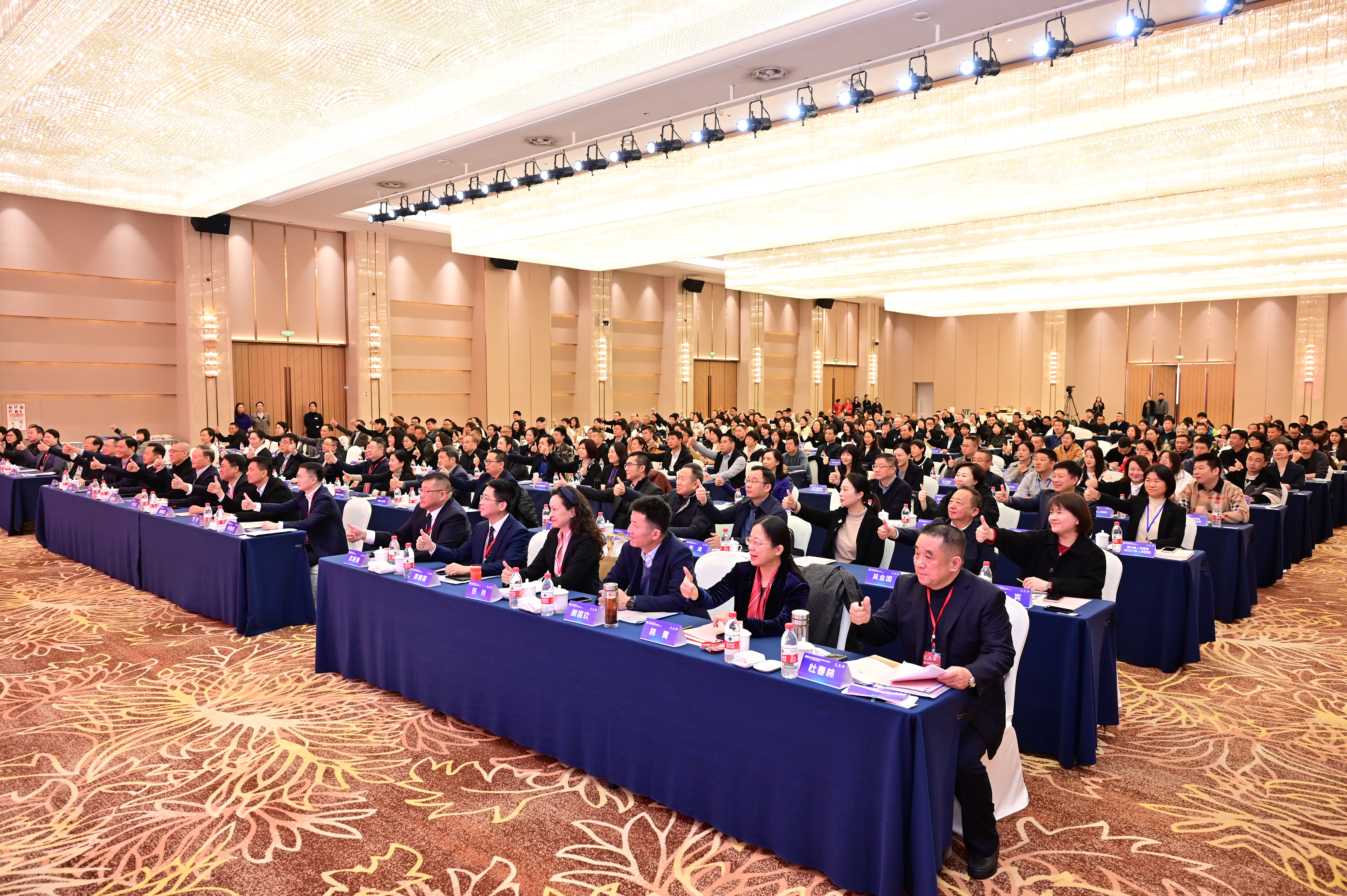 ��������VI-��Ʒ��ֵ������!