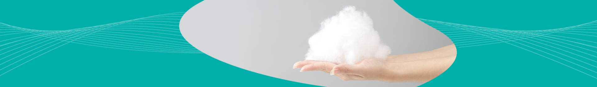 ��������VI-��Ʒ��ֵ������!