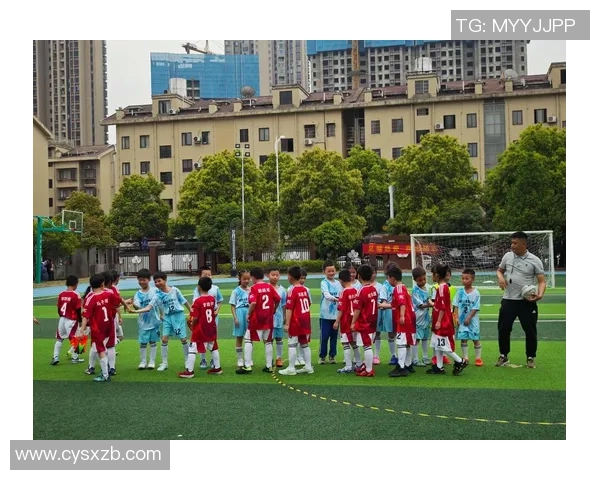 足球球星热推荐中国足球潜力无限助力发展未来